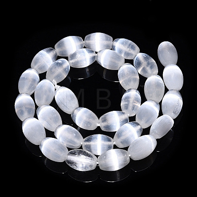 Dyed Natural Selenite Beads Strands G-T138-233A-1