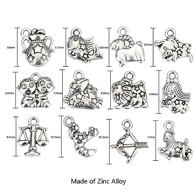 Zinc Alloy Charms PALLOY-CJ0001-100-1