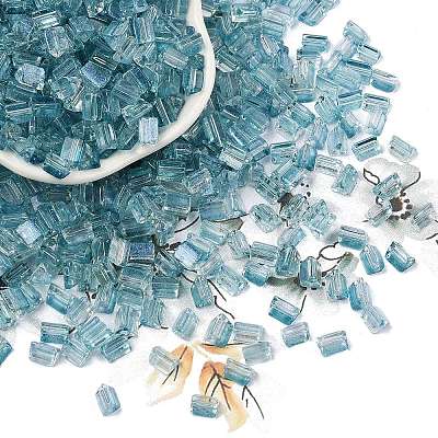 Transparent Spray Painted Glass Seed Beads SEED-L011-10A-09-1