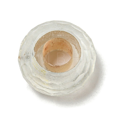 Glass European Beads GLAA-XCP0001-43F-1