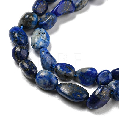 Natural Lapis Lazuli Beads Strands G-P497-01A-14-1