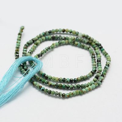 Natural Turquoise Bead Strands G-P270-2mm-18-1