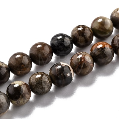 Round Natural Ocean Agate/Ocean Jasper Beads Strands G-O199-02B-1