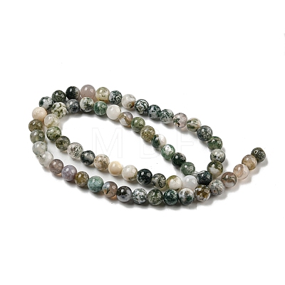 Natural Tree Agate Round Gemstone Beads Strands X-G-R255-6mm-1