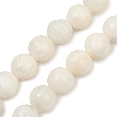 Natural White Shell Beads Strands BSHE-U002-01-1
