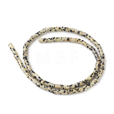 Natural Dalmatian Jasper Beads Strands G-F247-21-1
