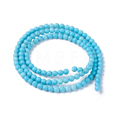 Natural Magnesite Beads Strands G-G786-01B-1