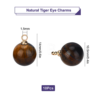 Natural Tiger Eye Charms G-SC0001-49C-1