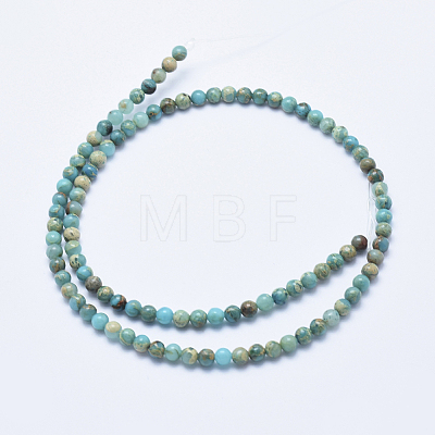 Natural Aqua Terra Jasper Beads Strands G-E444-14A-4mm-1