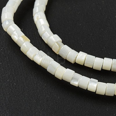 Natural Freshwater Shell Beads Strands BSHE-G039-03-1