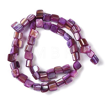 Dyed Natural Freshwater Shell Beads Strands SHEL-P016-01D-1