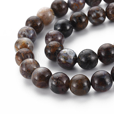 Natural Pietersite Beads Strands G-R446-10mm-13-1