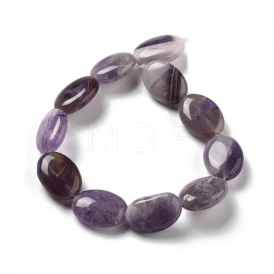 Natural Amethyst Beads Strands G-P528-M16-01-1