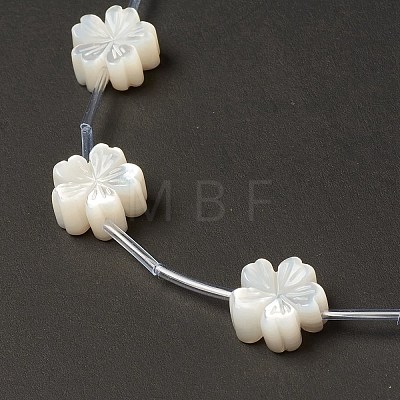 Natural White Shell Mother of Pearl Shell Beads BSHE-B005-09-1