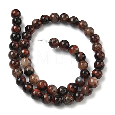 Natural Tiger Eye Beads Strands G-F591-18-8mm-07-1