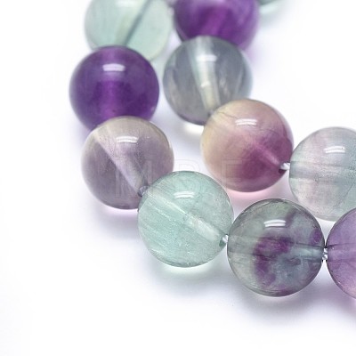 Natural Fluorite Beads Strands G-I249-B02-03-1