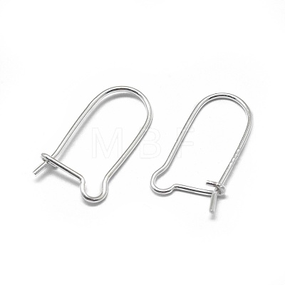 925 Sterling Silver Earring Hoops STER-L057-065S-1