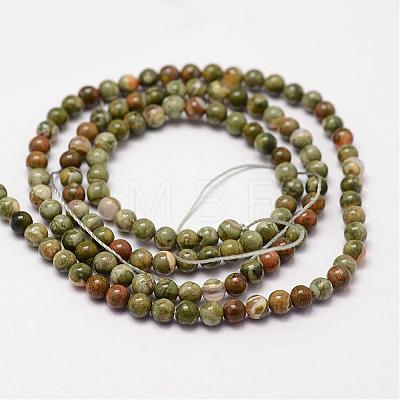 Natural Rhyolite Jasper Beads Strands G-N0183-01-3mm-1