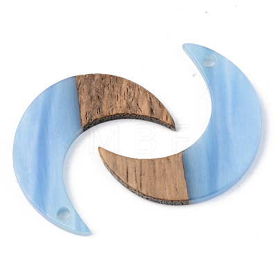 Resin & Walnut Wood Pendants RESI-S389-056B-1