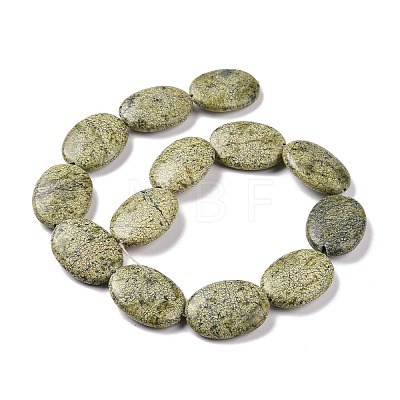 Natural Serpentine/Green Lace Stone Beads Strands G-P469-02-1