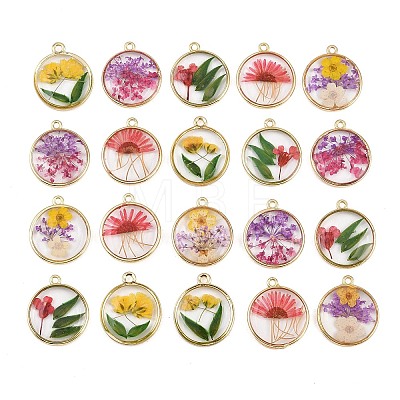 Alloy Epoxy Resin Pendants FIND-Z114-01G-05-1