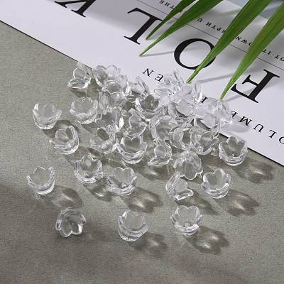 Transparent Acrylic Beads X-PL548-1-1