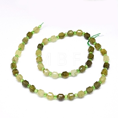 Natural Green Garnet Beads Strands G-O201B-34-1