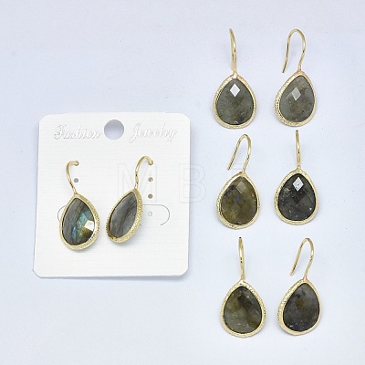 Natural Gemstone Dangle Earrings EJEW-L228-01-1