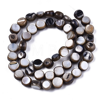 Natural Freshwater Shell Beads Strands SHEL-S276-110B-01-1