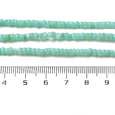 Natural Freshwater Shell Beads Strands SHEL-P017-01B-08-1