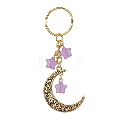 Tibetan Style Alloy Hollow Moon Pendant Keychain KEYC-JKC00690-1