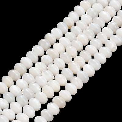 Natural Freshwater Shell Beads Strands SHEL-C010-04A-02-1