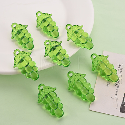 Autumn Theme Transparent Acrylic Beads TACR-S154-60B-925-1