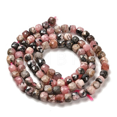 Natural Argentina Rhodonite Beads Strands LS-G-B107-B01-01-1