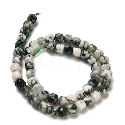 Natural Tree Agate Beads Strands G-H078-C06-01-1