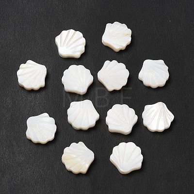 Natural Freshwater Shell Beads LS-BSHE-E026-06-1