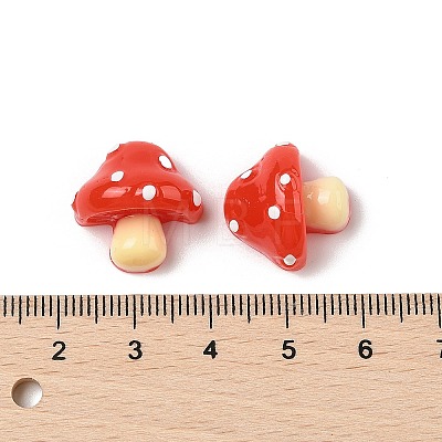 Resin Cabochons X-RESI-S012-03A-1