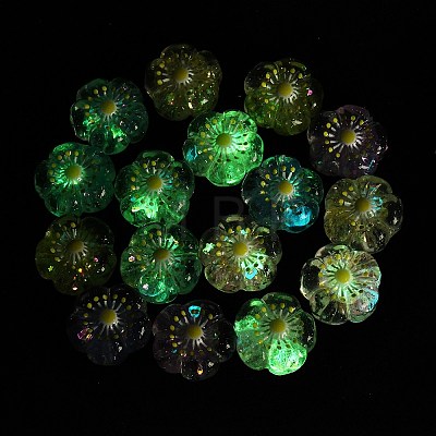 Luminous Resin Enamel Beads RE-CBAC4C7-14-1
