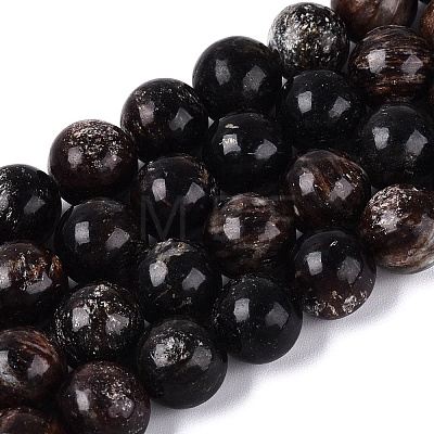Natural Biotite Beads Strands G-Q616-01D-1