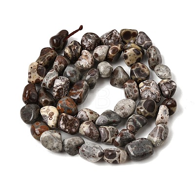 Natural Leopard Skin Jasper Beads Strands GG-CBAC13F-A01-01-1