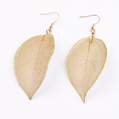 Brass Plated Natural Leaf Dangle Earrings EJEW-JE02654-1
