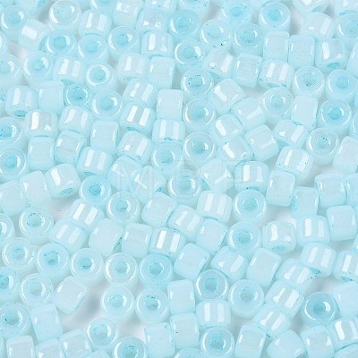 Glass Seed Beads SEED-T008-01F-1