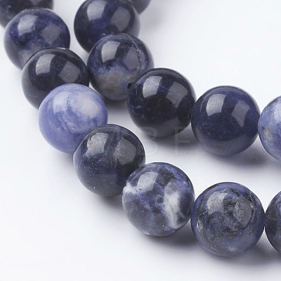 Natural Sodalite Beads Strands X-G-E110-10mm-3-1