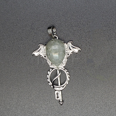 Natural Labradorite Teardrop Pendants PW-WG60016-21-1