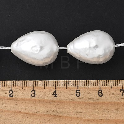 Electroplated Shell Pearl Beads Strands BSHE-F013-13-01-1