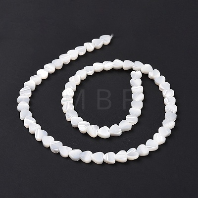 Natural Trochus Shell Beads Strands SSHEL-H070-06A-1