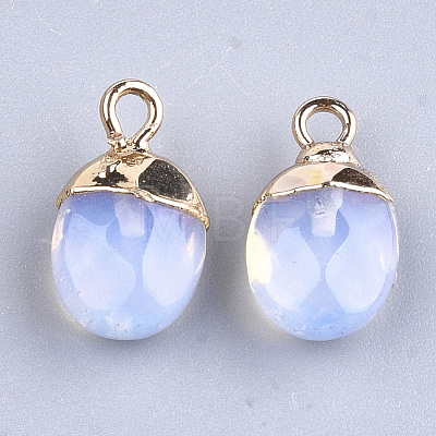 Electroplate Opalite Charms G-S344-09G-1