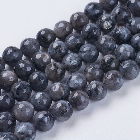 Natural Larvikite Beads Strands G-G542-8mm-27-1