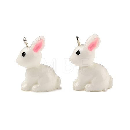 Resin Pendants RESI-S356-53-1