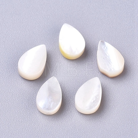 Natural Sea Shell Beads SSHEL-R038-20-1